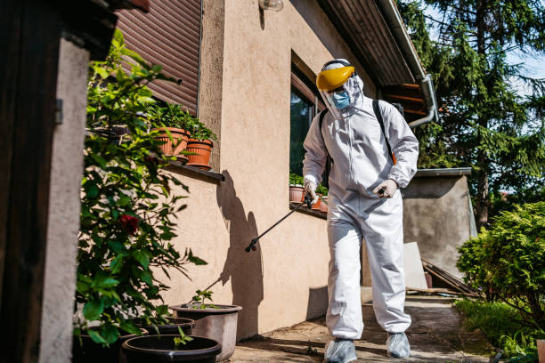 Best Wildlife Control Services  in West Reading, PA