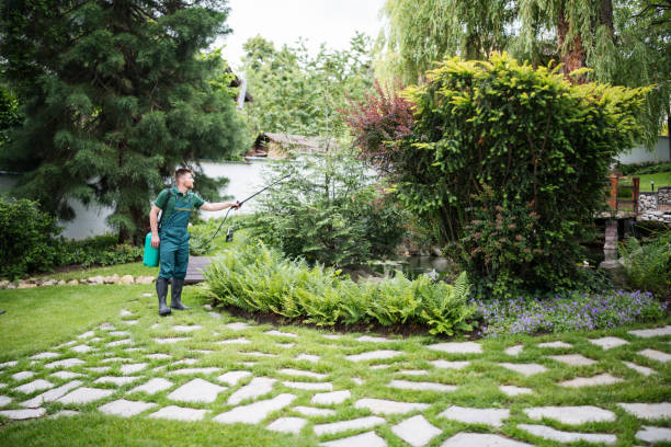 Trusted West Reading, PA Pest Control Experts