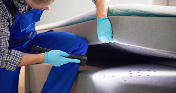 Best Wasp Removal Services  in West Reading, PA