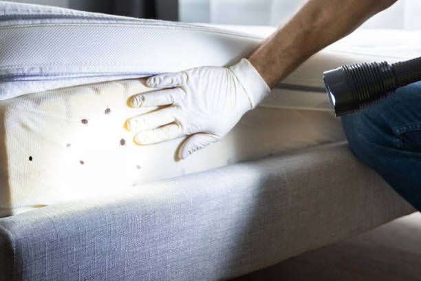 Best Commercial Pest Control Services  in West Reading, PA